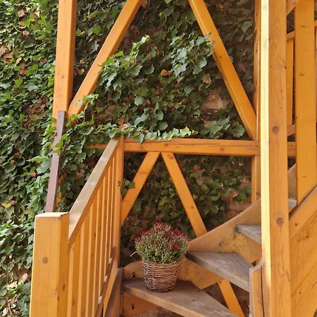 Tatil Evi Dum S Dusi