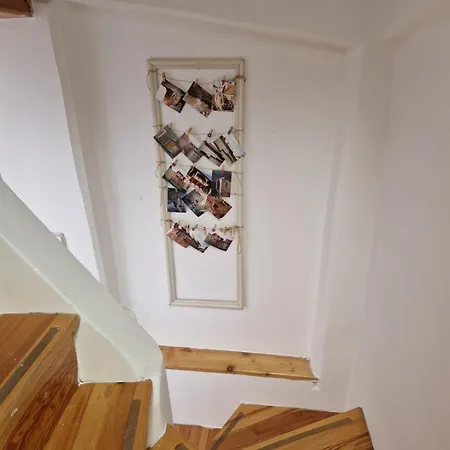 Dum S Dusi Tatil Evi