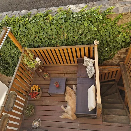 Tatil Evi Dum S Dusi