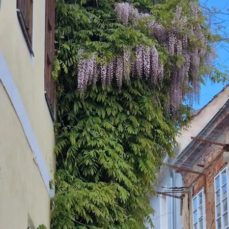 Tatil Evi Dum S Dusi Kadaň
