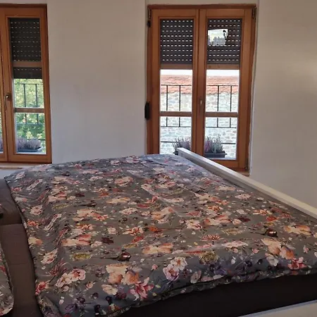 Tatil Evi Dum S Dusi *