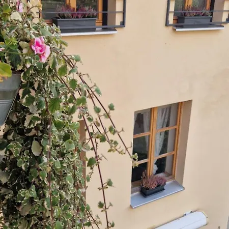 Dum S Dusi Feriehus